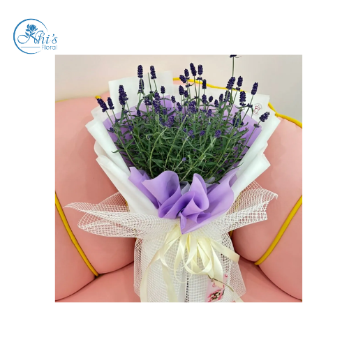 Hoa Lavender Tươi Giá Rẻ 